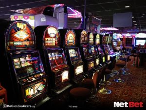 voleibolpg - App Bet Login