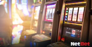 voleibolpg - App Bet Login