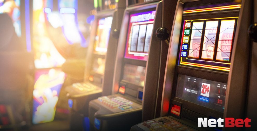 voleibolpg - Plataforma Login Bet