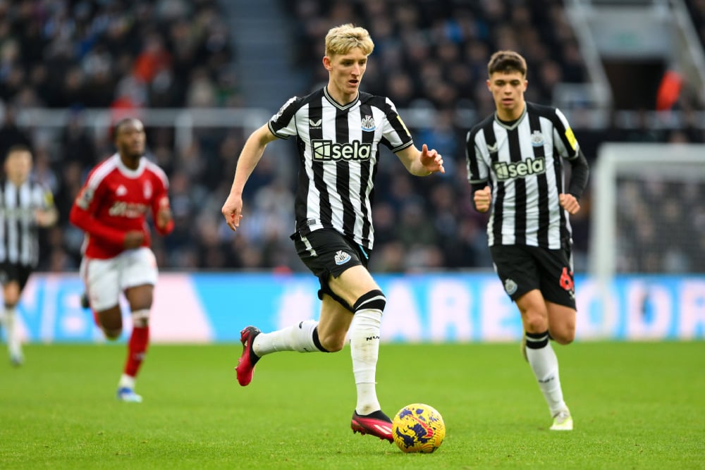 voleibolpg - App Bet Fácil